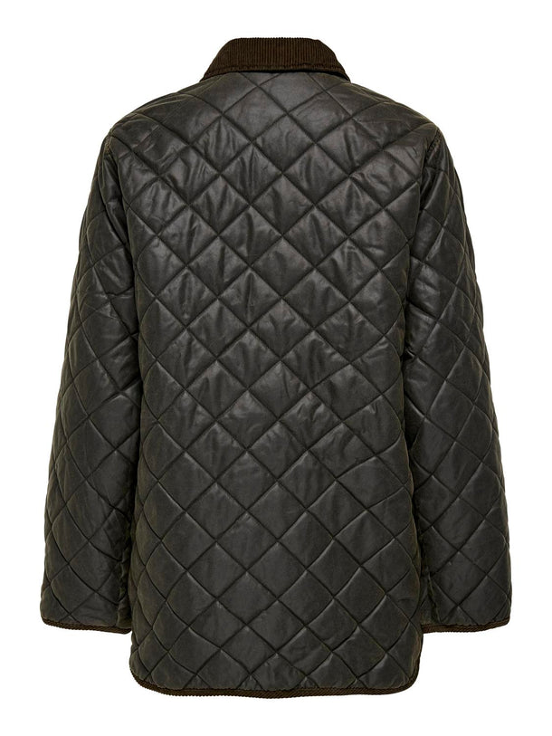 Product CHAQUETA MOUNTAIN - Peat Detail:Chocolate Brown - Image 5