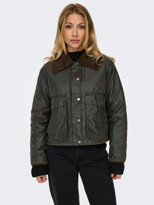 Product CHAQUETA MOUNTAIN - Peat Detail:Chocolate Brown - Image 6
