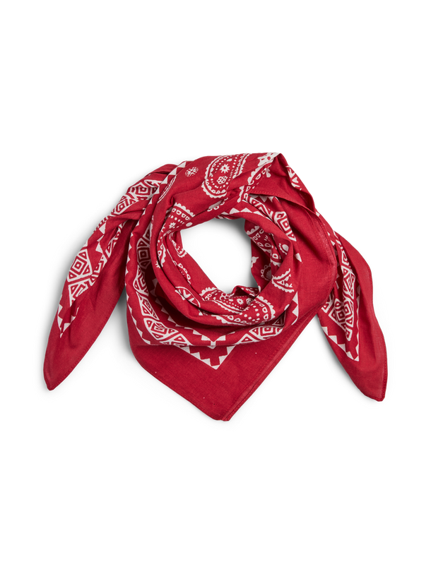 Product PAÑUELO CUADRADO ANNA-Goji Berry Print:PAISLEY - Image 1