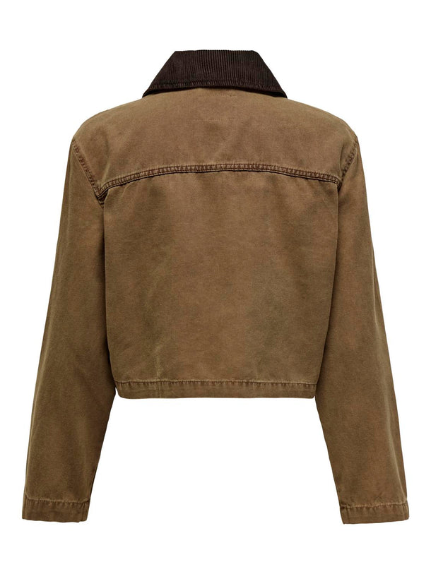 Product CHAQUETA CAVA - Bistre Detail:COLLAR CHOCOLATE TORTE - Image 5