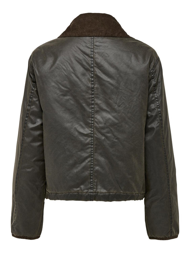 Product CHAQUETA MOUNTAIN - Peat Detail:Chocolate Brown - Image 5