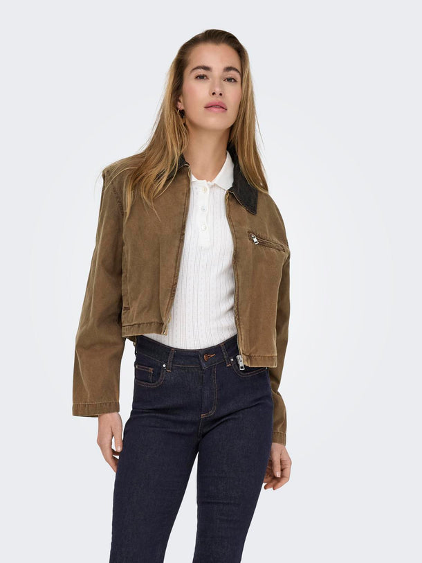 Product CHAQUETA CAVA - Bistre Detail:COLLAR CHOCOLATE TORTE - Image 1