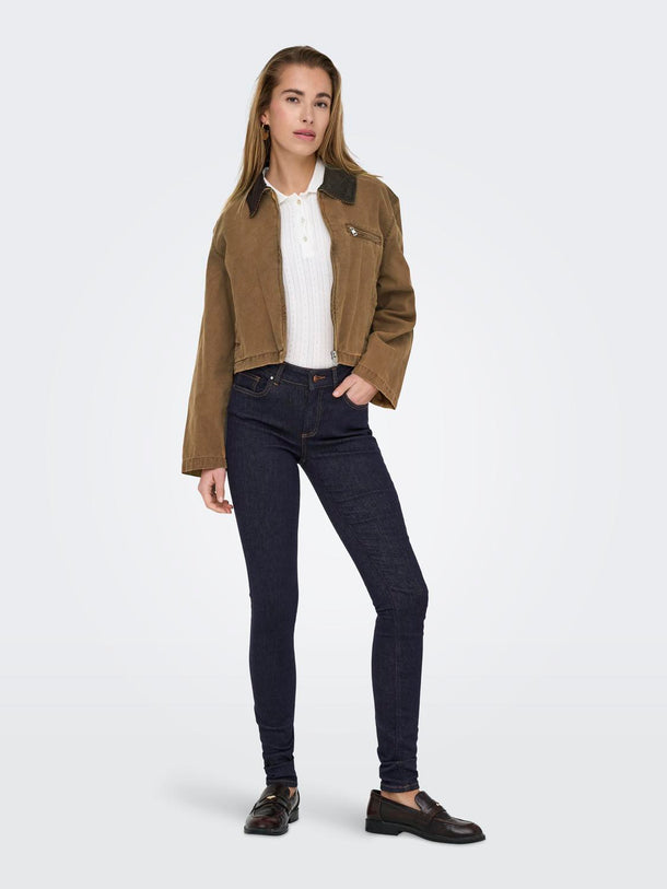 Product CHAQUETA CAVA - Bistre Detail:COLLAR CHOCOLATE TORTE - Image 2